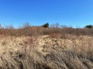 Id. spoluvlastnický podíl 1/18 na pozemcích v k.ú. Újezd nad Lesy o celkové výměře 5647 m2