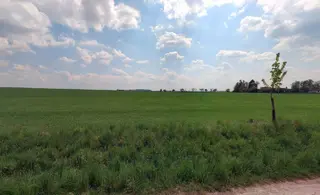 Spoluvlastnický podíl id. 1/2 pozemek Chvalina, okres Jičín