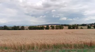 Pozemky, k.ú. Pavlovice u Kojetína, okres Prostějov