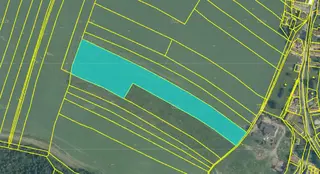 Spoluvlastnický podíl id. ¼ na pozemku 11 086 m2, Radkovice u Příchovic, okres Plzeň-jih