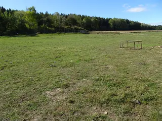 Spoluvlastnický podíl id. ¼ na pozemku 11 086 m2, Radkovice u Příchovic, okres Plzeň-jih