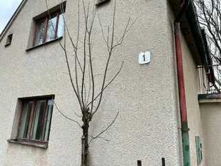 Spoluvlastnický podíl  id.1/4 na RD Bratkovice s pozemky 13.651 m2