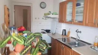 Spoluvlastnický podíl id 1/8 RD Rohovládova Bělá, okres Pardubice