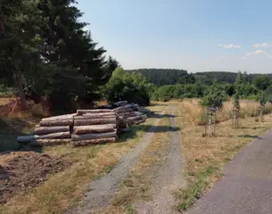 Spoluvlastnický podíl na pozemku ve výši id. ½ Kostelec nad Černými lesy, okres Praha-východ  