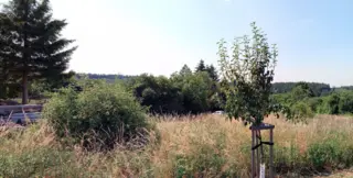Spoluvlastnický podíl na pozemku ve výši id. ½ Kostelec nad Černými lesy, okres Praha-východ  