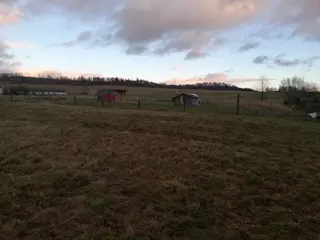 Spoluvlastnický podíl na RD Razová a pozemcích, okres Bruntál