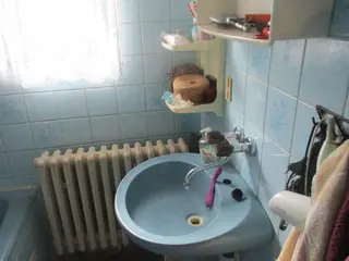 Spoluvlastnický podíl ve výši id. 1/2 na RD Horní Radechová a id. 2/24 na pozemku  Nesvačily u Bystřice    