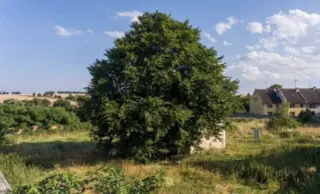 Stavební pozemek 5979 m2 v obci  Výšovice, okres Prostějov