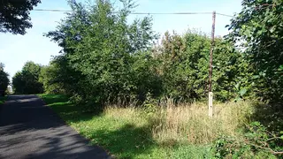 Stavební pozemek Cínovec, okr.Teplice
