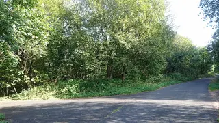 Stavební pozemek Cínovec, okres Teplice