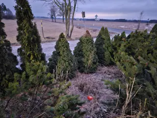 Stavební pozemek Březí nad Oslavou, okres Žďár nad Sázavou