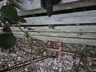 Stavební pozemek Březí nad Oslavou, okres Žďár nad Sázavou