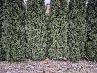 Stavební pozemek Březí nad Oslavou, okres Žďár nad Sázavou