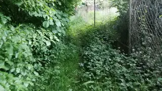 Stavební pozemek Předenice, okres Plzeň-jih
