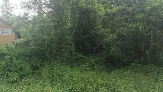 Stavební pozemek Předenice, okres Plzeň-jih