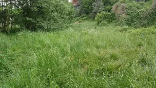 Stavební pozemek Předenice, okres Plzeň-jih