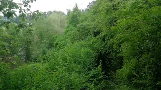 Stavební pozemek Předenice, okres Plzeň-jih