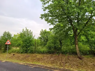 Stavební parcela Ptení, okres Prostějov