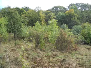 Stavební pozemky Chuderovec 14.809m2