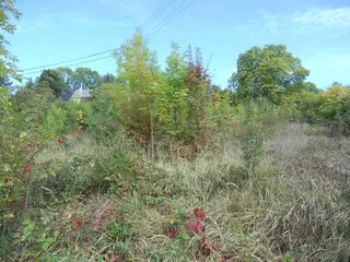 Stavební pozemky Chuderovec 14.809m2