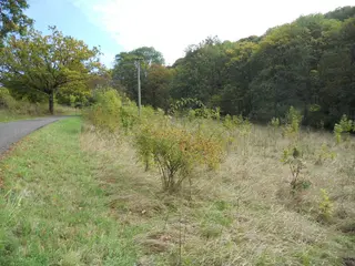 Stavební pozemky Chuderovec 14.809m2