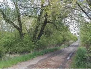 Stavební pozemky Růžodol, okres Most