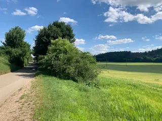 Pozemky Tišnov - aukce 1:  zemědělská půda 7.233m2, spoluvlastnický podíl id. 1/12 k p.č. 2493/183 