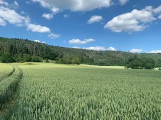 Pozemky Tišnov - aukce 2:  lesní pozemek  1.315 m2, spoluvlastnický podíl id.1/24 k p.č. 1439