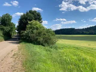 Pozemky Tišnov - aukce 3: zemědělská půda 1977m2, spoluvlastnický podíl id.1/24 k p.č. 2493/266