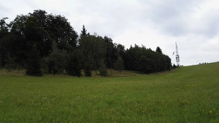 UPUŠTĚNO. Lesní pozemky Koclířov