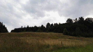 UPUŠTĚNO. Lesní pozemky Koclířov
