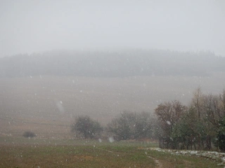 Usedlost s pozemky Divišov, k.ú. Lbosín, spoluvlastnický podíl ve výši id. 1/6