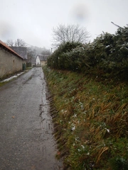 Usedlost s pozemky Divišov, k.ú. Lbosín, spoluvlastnický podíl ve výši id. 1/6