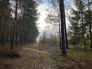 Pozemek 1093/22 Veliny a podíl 1/3 na pozemku 965/12, okres Pardubice