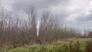 Vícenice u Náměště nad Oslavou (Třebíč)