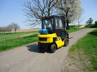VZV Caterpillar 2