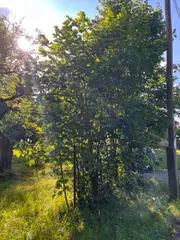 Pozemek 461 m2, Dobešov, okres Nový Jičín