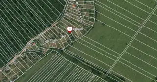 Zahrada a vinice, Lužice u Hodonína