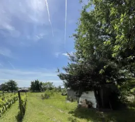 Zahrada a vinice, Lužice u Hodonína