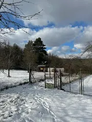 Zahrada 5360 m2 v obci Drnovice u Vyškova