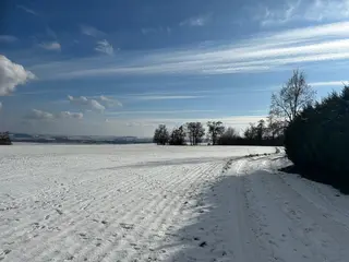 Zahrada 5360 m2 v obci Drnovice u Vyškova