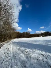 Zahrada 5360 m2 v obci Drnovice u Vyškova