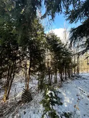 Zahrada 5360 m2 v obci Drnovice u Vyškova