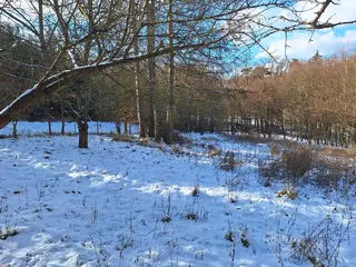 Zahrada 5360 m2 v obci Drnovice u Vyškova