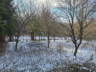Zahrada 5360 m2 v obci Drnovice u Vyškova