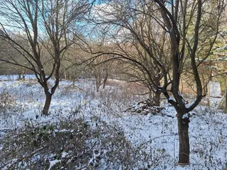 Zahrada 5360 m2 v obci Drnovice u Vyškova