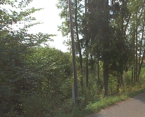 zbývající pozemky - LESS & FOREST s.r.o. - druhé kolo
