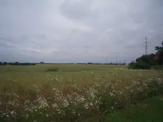 Zemědělské pozemky v Praze - Hájek u Uhřiněvsi 