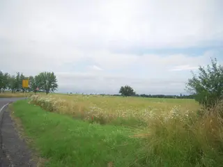 Zemědělské pozemky v Praze - Hájek u Uhřiněvsi 