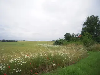 Zemědělské pozemky v Praze - Hájek u Uhřiněvsi 